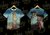 camiseta t-shirt Lady gaga the birth of venus.