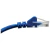 Patch Cord Utp Cat5E 26Awg 1.5M Azul na internet