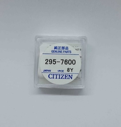 Capacitor Citizen 295-7600