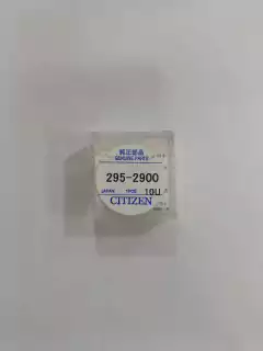 Capacitor Citizen 295-2900