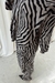 Camisa abundancia - tienda online