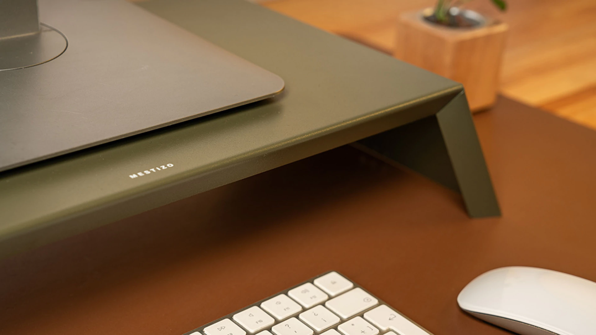 BASES DE MONITOR