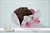 Forminhas de Docinho - c/10und - comprar online