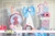 KIT FESTA - Jardim - loja online