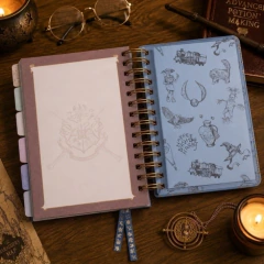 Agenda Diaria Mooving Harry Potter 2027 14x20cm en internet