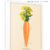 Quadro - Runaway Carrot - comprar online