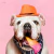 Quadro - Vida de Cão - comprar online