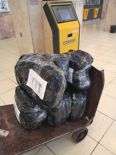 ENVÍOS CORREO ARG A SUCURSAL O DOMICILIO: