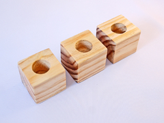 Trio Vaso de Suculentas Pinus - E&E Convites