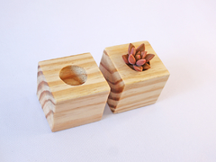 Trio Vaso de Suculentas Pinus - loja online