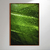 Macro Leaf II - Artista: Marcelo Arteiro