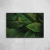 Botanical X - loja online