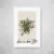 Matisse Vert - comprar online