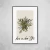 Matisse Vert - loja online