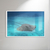 Arraia - Artista: Heitor Nogueira - comprar online