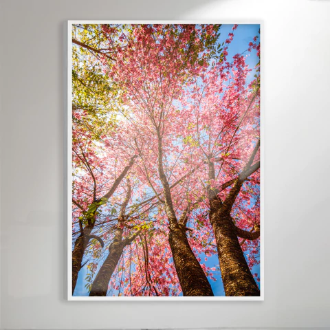 Cerejeiras - Artista: Rodrigo Coutinho Martins