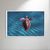 Turtle 3 - Artista: Heitor Nogueira na internet