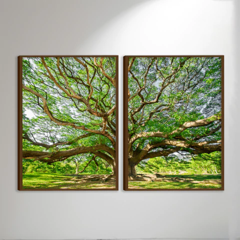 Arbor Díptico