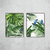 Conjunto Tropical Arara Azul na internet