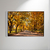 Central Park - O2 Arts Quadros Personalizados