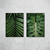 Conjunto Urban Jungle I - O2 Arts Quadros Personalizados