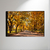 Central Park - O2 Arts Quadros Personalizados