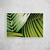 Palm Leaf II na internet