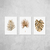 Trio Folhagens Aquareladas Cobre - comprar online