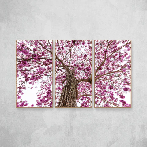 Ipê Rosa II Tríptico