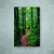 Imagem do Pathway