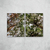 Bosque III Díptico - Artista: Heitor Nogueira - comprar online