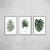 Trio Folhagens Aquareladas Verde Musgo - comprar online