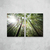 Bamboos Sunlight Díptico na internet