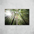 Bamboos Sunlight Díptico - O2 Arts Quadros Personalizados