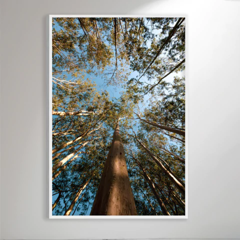 Forest Up - Artista: Marcelo Arteiro - comprar online