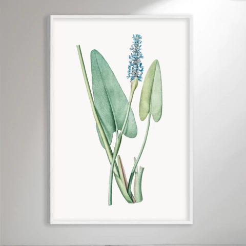 Flower Botanical V - comprar online