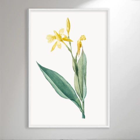 Flower Botanical IV - comprar online