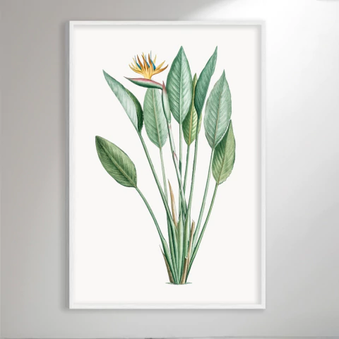 Flower Botanical I - comprar online