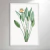 Flower Botanical I - comprar online