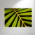 Folhas de Palmeira III - Artista: Marcelo Arteiro - comprar online