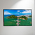 Panorâmica Vila Velha - Artista: Rodrigo Coutinho Martins