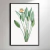Flower Botanical I - loja online