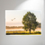 Amanhecer no Campo - O2 Arts Quadros Personalizados
