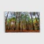 SALE: Bosque I - O2 Arts Quadros Personalizados