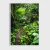 Imagem do Floresta Tropical I
