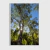 Sunshine tree - Artista: Vitor Barbosa - loja online