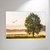 Amanhecer no Campo - comprar online