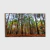 SALE: Bosque I na internet