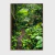 Floresta Tropical I - comprar online