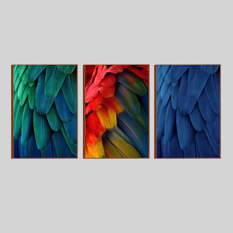 SALE: Trio Penas Coloridas I - comprar online